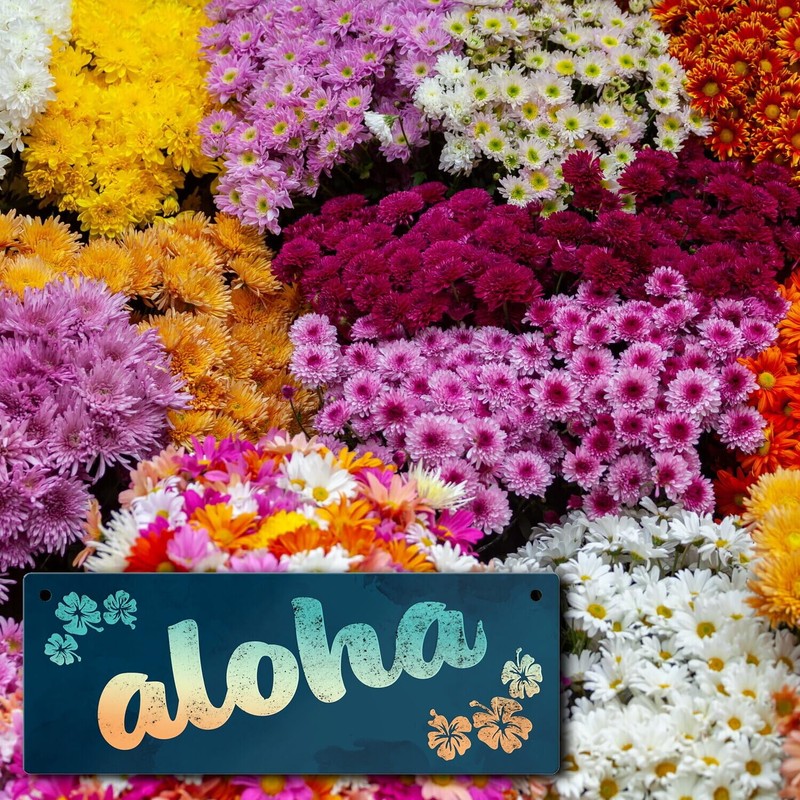 Metal Sign L 10.5 x 28 cm with Hawaii Design