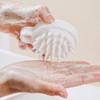 Mini Shampoo Brush Scalp Massager Bristle 17ea