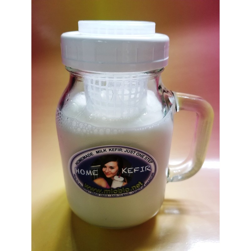Kefir Fermenter - Infuser with Handle 0.6L/20oz for homemade kefir