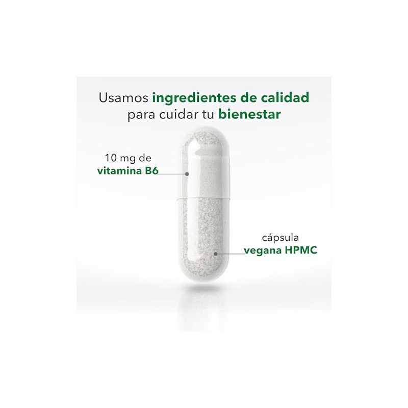 VIZANA NUTRITION | Vitamina B6 Forma Activa y Coenzimada (P-5-P/Piridoxal-5-Fosfato)