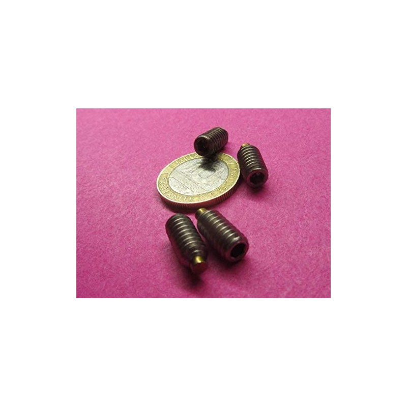 18-8 Stainless Steel Brass Tip Set Screw 1/4"-20 x .500"