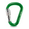 Salewa HMS Screw G2 Carabina - Multi-Coloured Various Size:GREEN