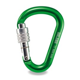 Salewa HMS Screw G2 Carabina - Multi-Coloured Various Size:GREEN