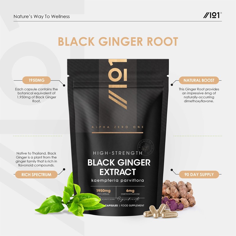 ALPHA01 Black Ginger Extract 1950mg – High Strength 4% Dimethoxyflavone