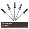 SKIR'CO Pack of 150 blind rivets painted 4.0 x 16