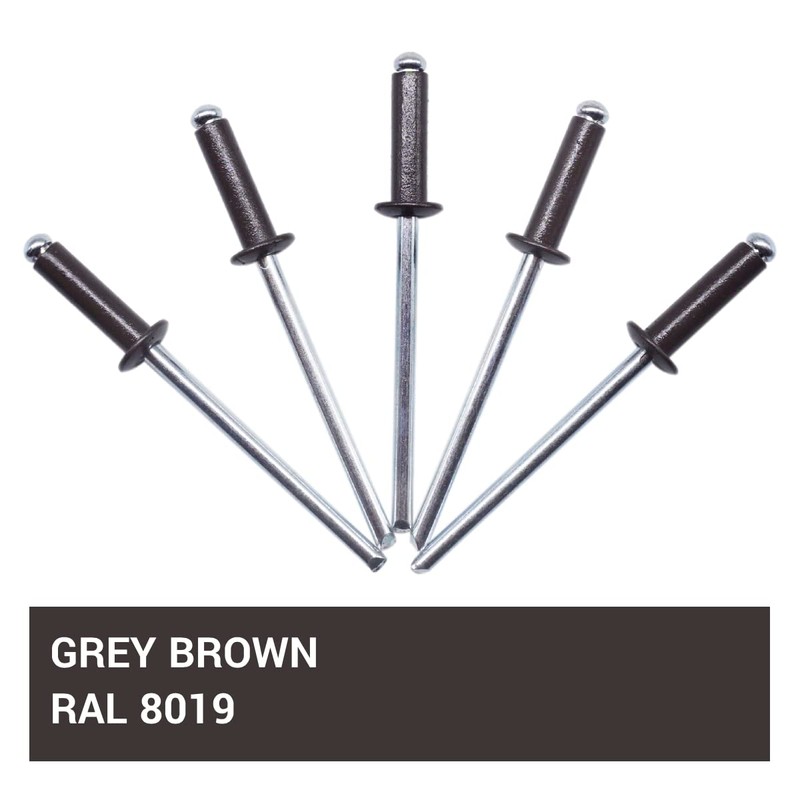 SKIR'CO Pack of 150 blind rivets painted 4.0 x 16