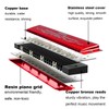 Harmonica Professional C Major Blues Harmonica Diatonic 24-Hole with Case