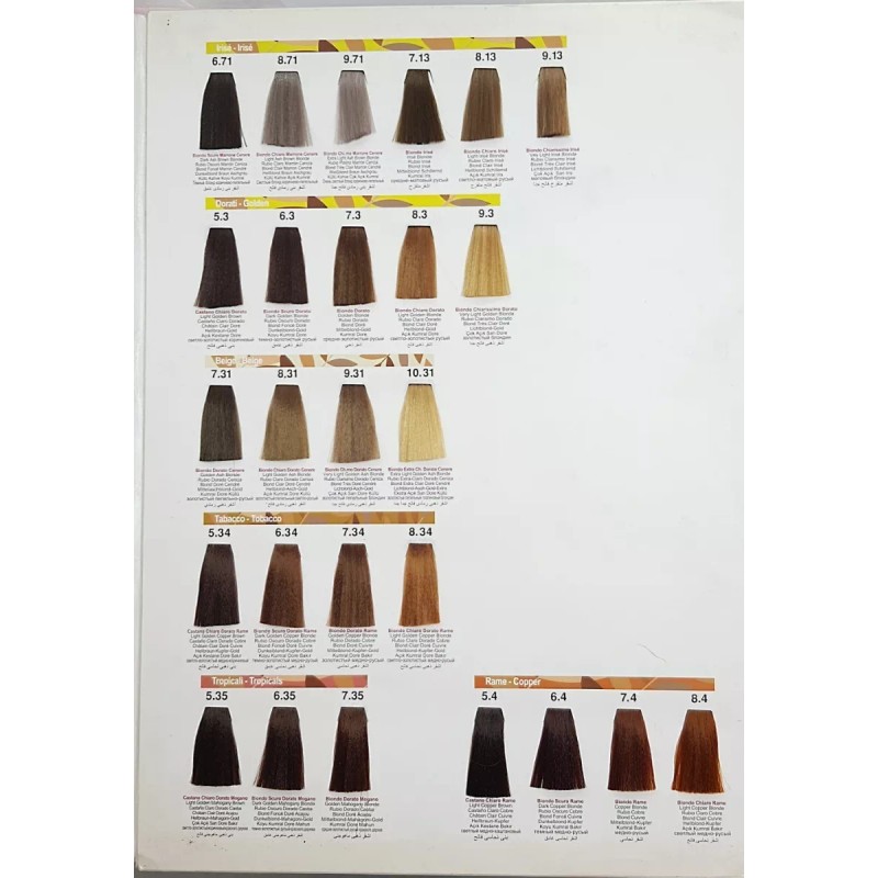 Silky Tinte Profesional 100ml Silky Cenizo Intenso