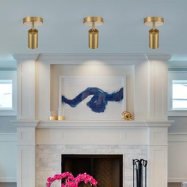 Zicbol Gold Spot Lights Indoor 2 Pack LED Ceiling Spotlight Fixtures Adjustable 90° Anti-Glare Spotlight for Living Room, Paintings, Wall Art and Artwork, Warm White 3000K