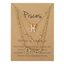 3Pcs Zodiac Necklace Set 12 Constellation Sign Pendant Necklace Astrology Birthday Gift for Women (Pisces(2.19~3.20))