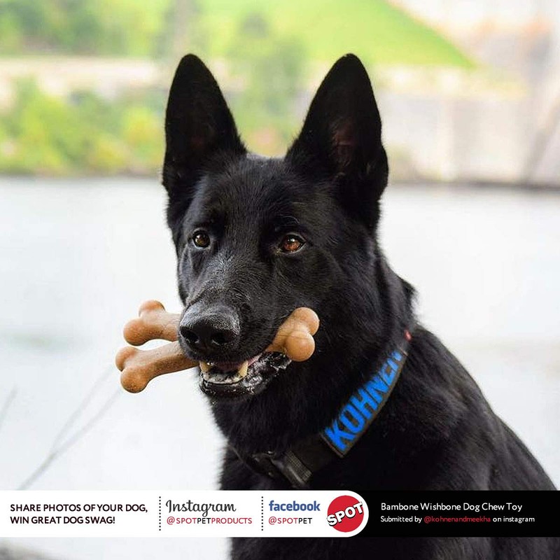 SPOT Bam-Bones Wishbone - Made with Strong Bamboo Fiber, Durable
