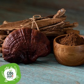 Reishi Mushroom Powder Organic Natural and Pure 300 g Rich in Antioxidants and Anti-Inflammatory Agents Ganoderma Lucidum Mushroom