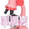 Kids Microscope Set Clear Image Source Science Educational Magnifier Toy