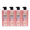 Kerassive 케라시스 어드밴스드 케라틴 본드 볼륨 샴푸 600ml x4개 Kerassence