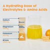 NativePath Native Hydrate Stick Packs, Sugar Free Electrolytes Powder with