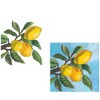 Lemon-Themed Cocktail Napkins 40 Count - Lemon Musee, Lemon Musee