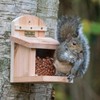 Jacobi Jayne® Nutbox™ Squirrel Feeder Just For Squirrels. Squirrel Feeder