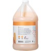 Ginger Lily Farms Botanicals Coco Mango Moisturizing Shampoo, 100% Vegan,