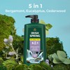 Irish Spring 5 in 1 Body Wash for Men 30