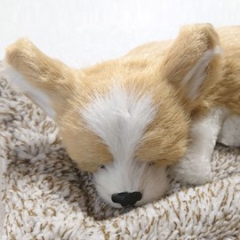 TATOTTE Dog Plush Toy Realistic Figurine, Cute Sleeping Face, Activated Carbon Included, Healing, Interior (Chihuahua, CR)