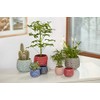 Bloomingville Ceramic Flower Pot Pinecone - colorful Planter, Pot for