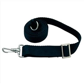 TAYLOR MADE PRODUCTS Adjustable Tie Down Strap 6' Black