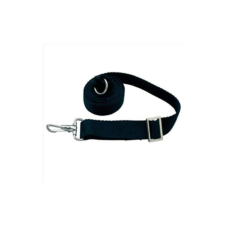 TAYLOR MADE PRODUCTS Adjustable Tie Down Strap 6' Black