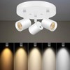 VANoopee 5 Color 3 Light LED Ceiling Spot Light Indoor