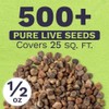Texas Bluebonnet Wildflower Seeds - Bulk 1/2 Ounce Packet -