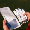 Skins Golf Gloves - Totally Unique Designs | AAA Cabretta