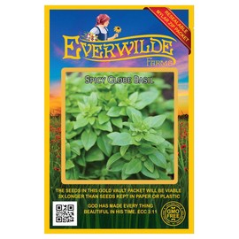 Everwilde Farms - 2000 Spicy Globe Basil Herb Seeds - Gold Vault Jumbo Seed Packet
