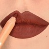 Astra Pure Beauty Lipstick (01 - MAHOGANY)