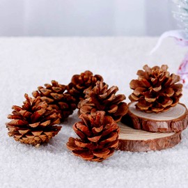 Ashuxxn Pack of 48 Christmas Pine Cones Decoration Natural Pine Cones with String Pine Cones with String Ornaments for Christmas Party Hanging (Wood Colour)