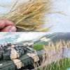 Cayway Static Grass Tuft Model Wheat Static Grass Terrain Model