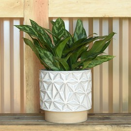 AREOhome HomArt Stoneware Ramos Geometric Cachepot, 6.75-inch Height, Ceramic, White