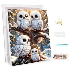 MEIYUDA Painting by Numbers Adult with Frame Animal, DIY Set Adult Cute Owls Craft Set, 3 Brushes and Acrylic Paint, DIY Hand Painted Oil Painting Kit as a Gift and Home Decoration 30 x 40 cm