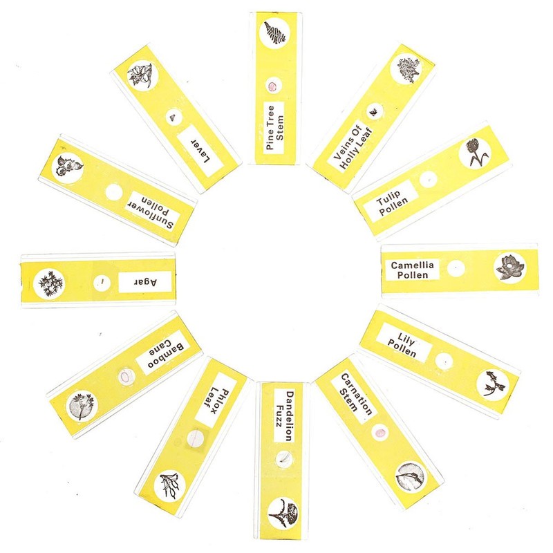 WhizKidsLab 48 Pieces Animals Insects Plants Flowers Plastic Microscope Foil