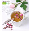 FRISAFRAN - Organic Antioxidant Rooibos Infusion in Pyramids | Nutritious