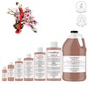 Aroma Depot Japanese Cherry Blossom 4 fl oz. Fragrance Oil