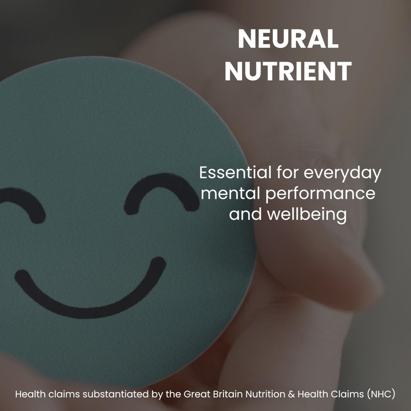 Lion’s Mane Focus Complex Gummies – Blueberry Flavour – 2000mg