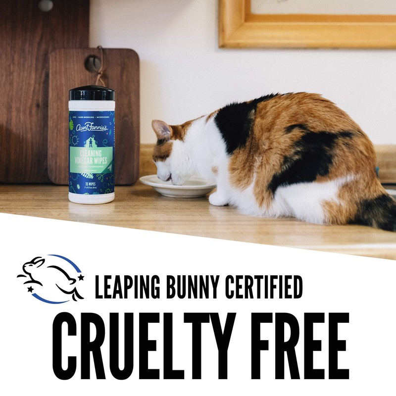 Aunt Fannie's Vinegar Cleaning Wipes, 35 Count (Eucalyptus, 6-Pack)