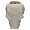 Ceramic Skull Garden Wall Planter