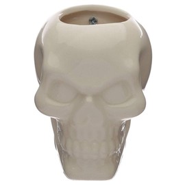 Ceramic Skull Garden Wall Planter