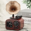 Retro Gramophone Classic Turntable Stereo Sound Vinyl Record Player for