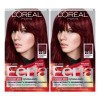 Kit De Tintes Para El Cabello L'oreal Paris Feria R48 Intens