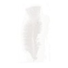 Youdoit 30 rooster feathers - white