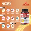 ULTRA HERBS Premium Berberine 12,200MG with Cinnamon, Milk Thistle *USA