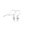 Linsoir Beads Iron Wire Earring Hooks with Large Loop Packed