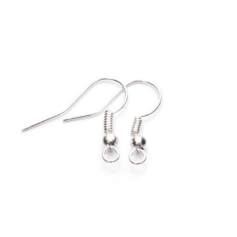 Linsoir Beads Iron Wire Earring Hooks with Large Loop Packed