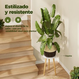 Bamworld Soporte para plantas alto de interior, redondo, de madera, para macetas de flores, resistente, para plantas de mediados de siglo, decoración moderna para el hogar, pequeña mesa redonda blanca